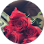Rose ksa